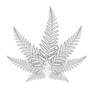 Silver Herb : Men's V-Neck Tee Design